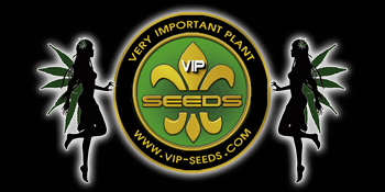 Vip-Seeds banner (originál)