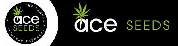 Ace seeds banner