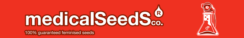 medical seeds banner