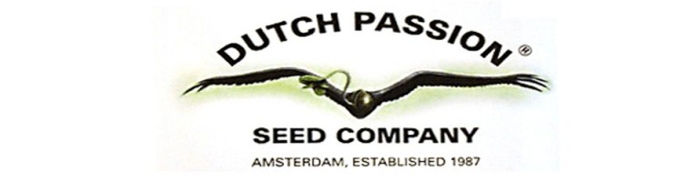 dutch-passion_banner (originál)