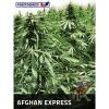 Afghan Express 5ks/auto.