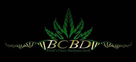 bc bud depot seeds banner