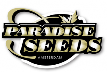 Paradise Seeds 3ks/fem