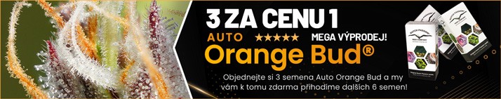 CZ-Auto-Orange-Bud-3-for-1-promo-714x141(1)
