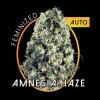 Amnesia Haze Auto 3ks/auto.