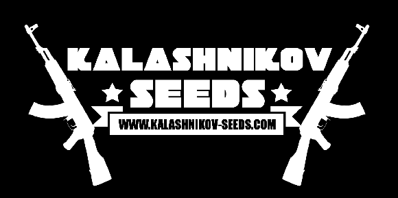 kalashnikov seeds banner