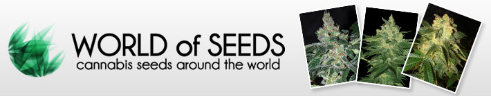 World-Of-Seeds-banner (originál)