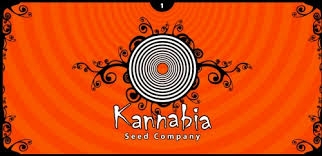 kannabia_seeds_banner (originál)