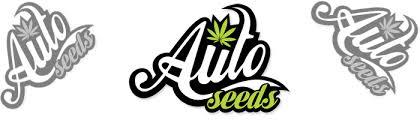 auto seeds banner