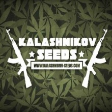 Kalashnikov Original 3ks/fem.