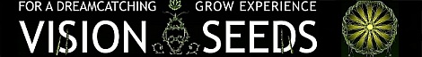 vision-seeds banner (originál)