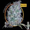 Blueberry Bliss Auto 5ks/auto.