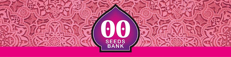 00 Seeds banner
