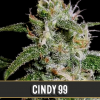 Cindy 99 3ks/fem.